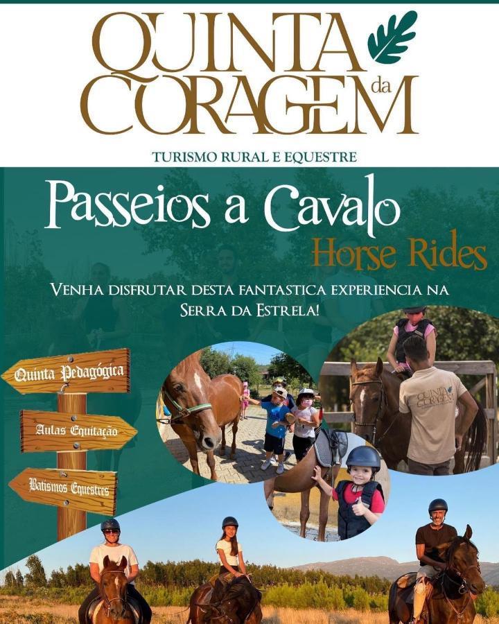 شقة Casa D'Avo Coragem سيا المظهر الخارجي الصورة